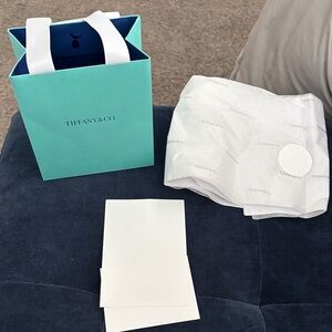 Tiffany & Co. Turquoise Bag with White Accents